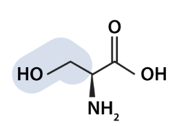 <p>what aa is this</p>