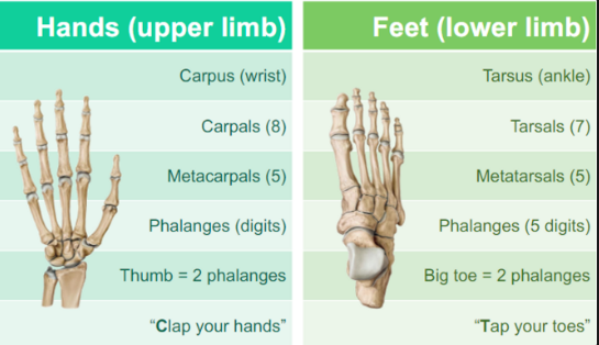 <p>REVIEW THIS PHOTO </p>