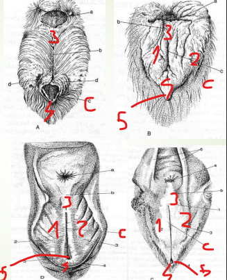<p>podasj elementy od 1 do 5</p>