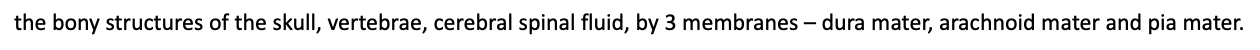 The bony structures of the skull, vertebrae, cerebral spinal fluid and by 3 membranes – dura mater, arachnoid mater and pia mater