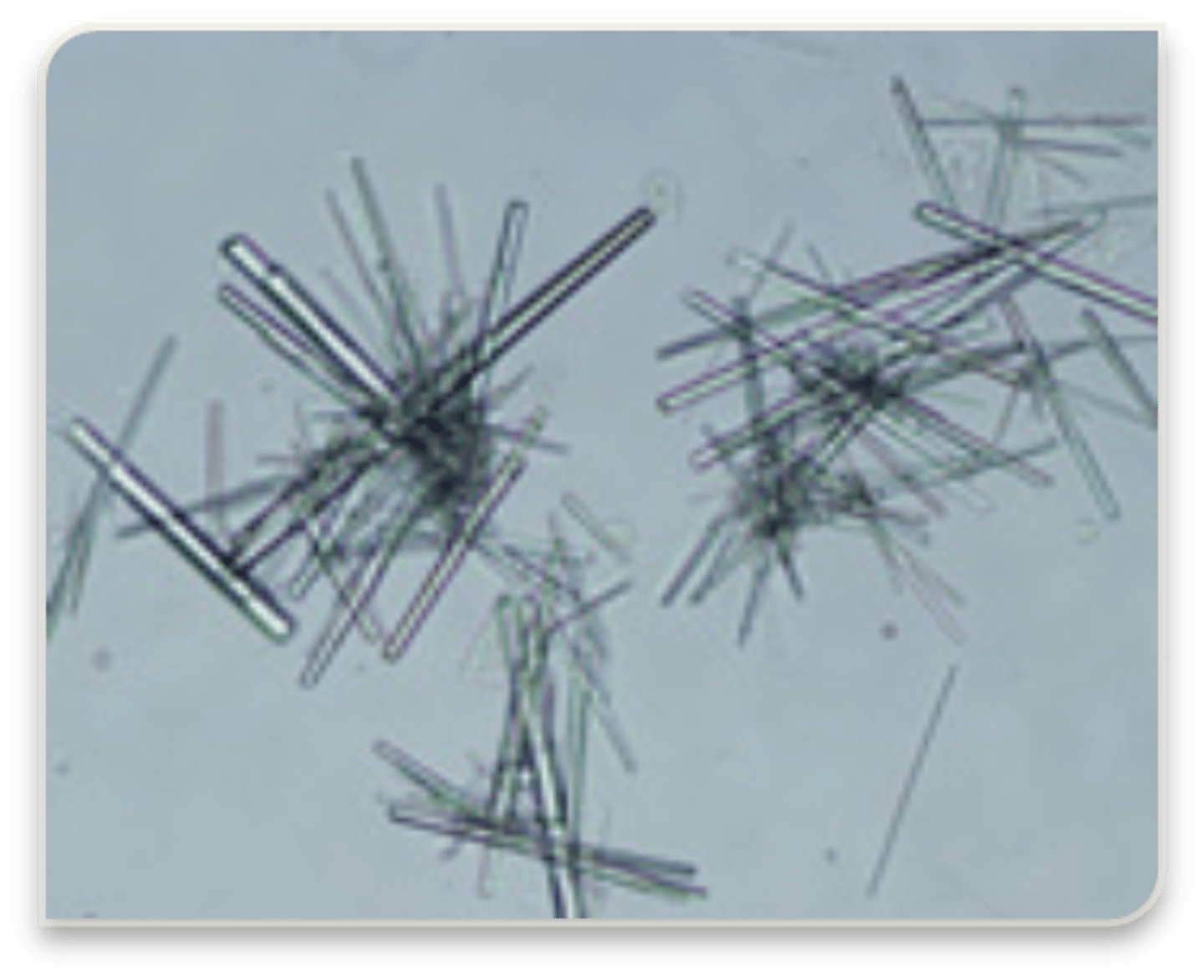 <p>acidic urine, thin needles</p>