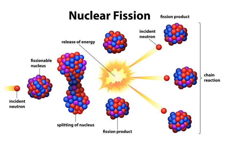 <ul><li><p>A small amount of mass is converted into energy</p></li></ul><p></p>