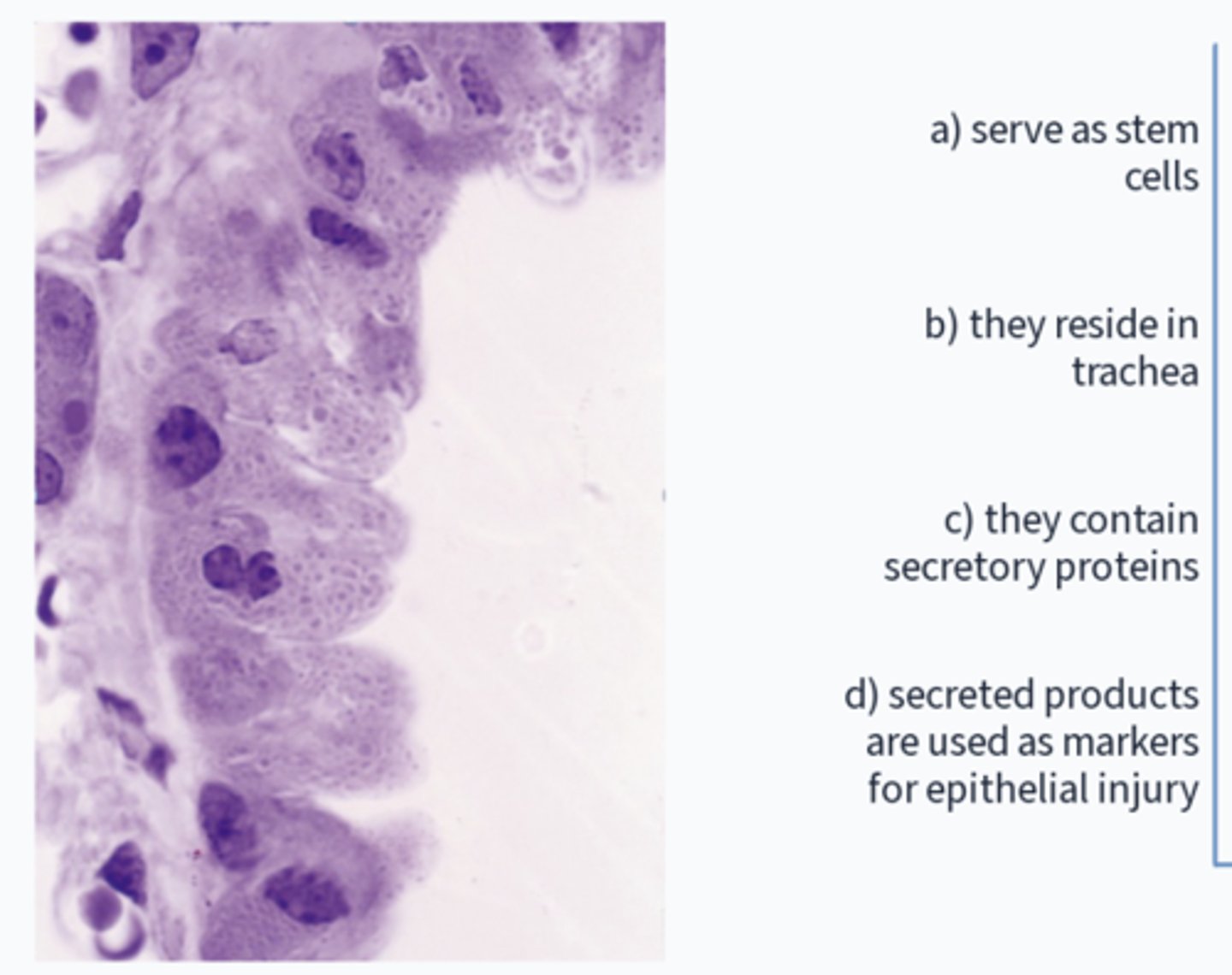 <p>What is incorrect?</p>
