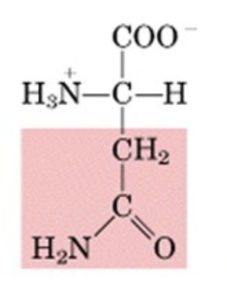 <p>What’s this aminoacid?</p>