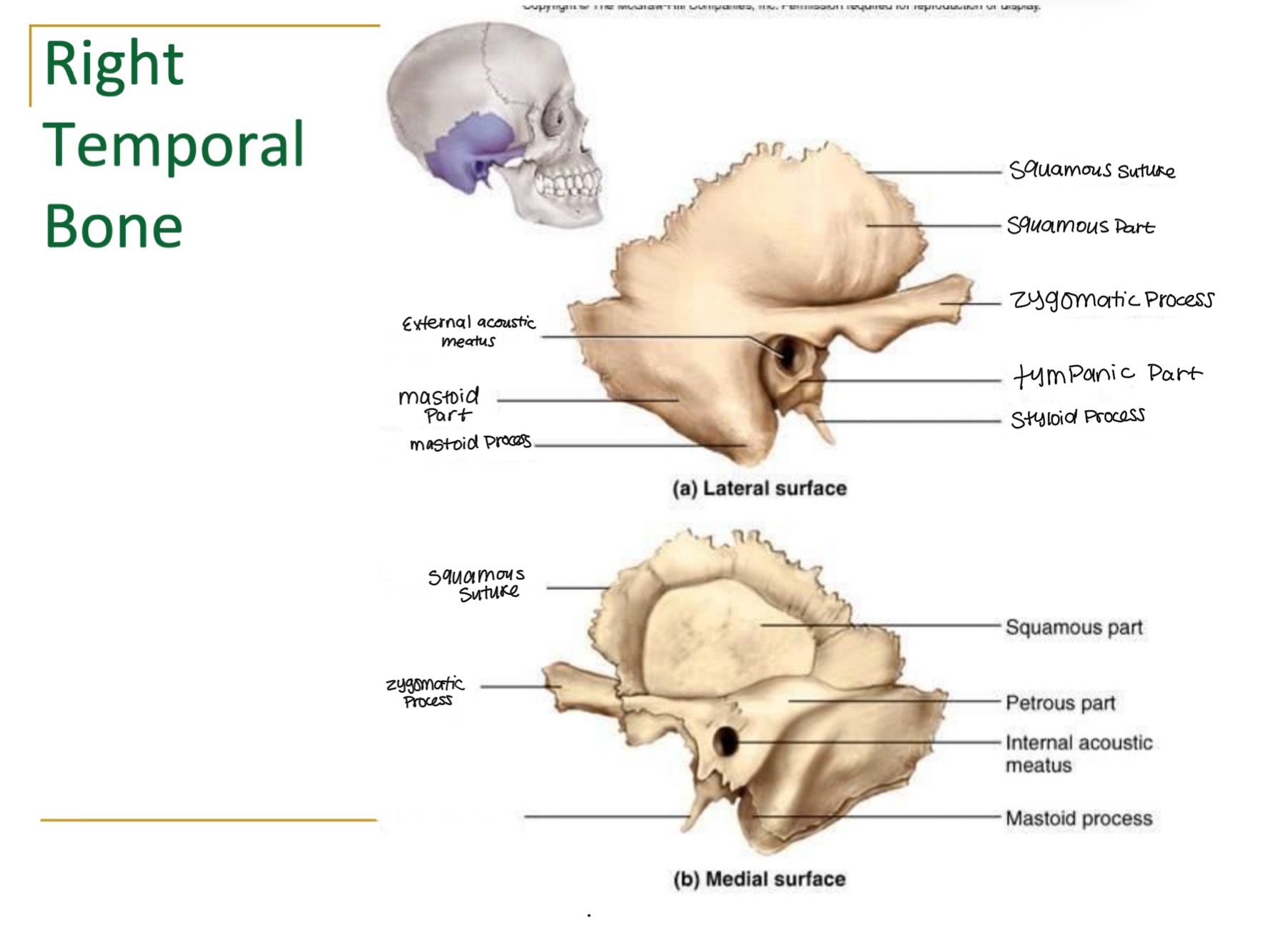 <p><br>label missing word on diagram</p>