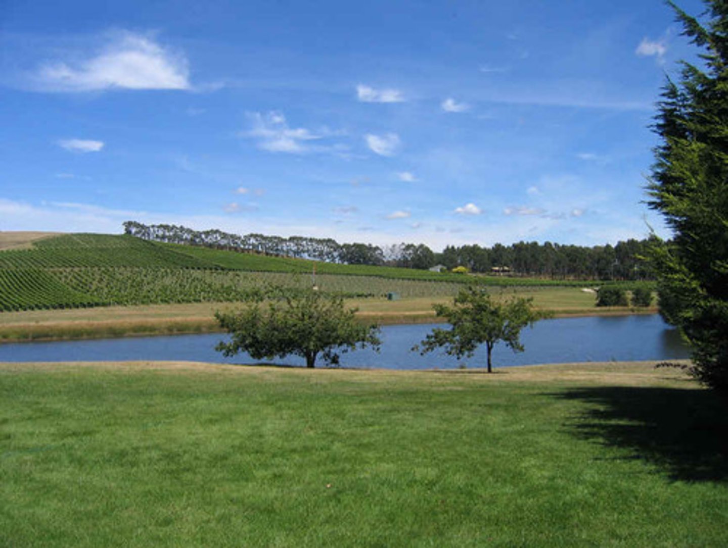 <p>The weather is nice</p>