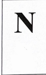 term image