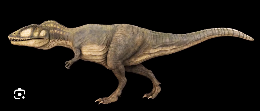 <p>Carcharodontosaurids</p>