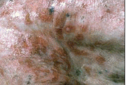 <p>what is the image showing?</p>