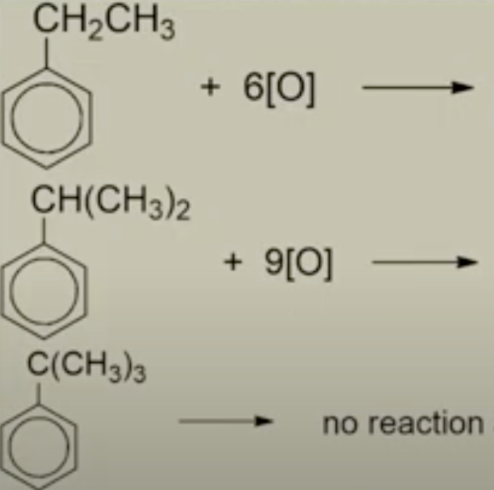 <p>Describe these reactions + products </p>