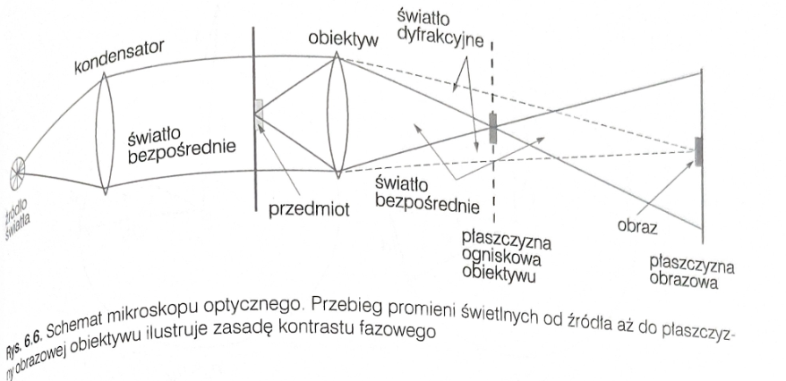 <p>ognisku obiektywu</p>