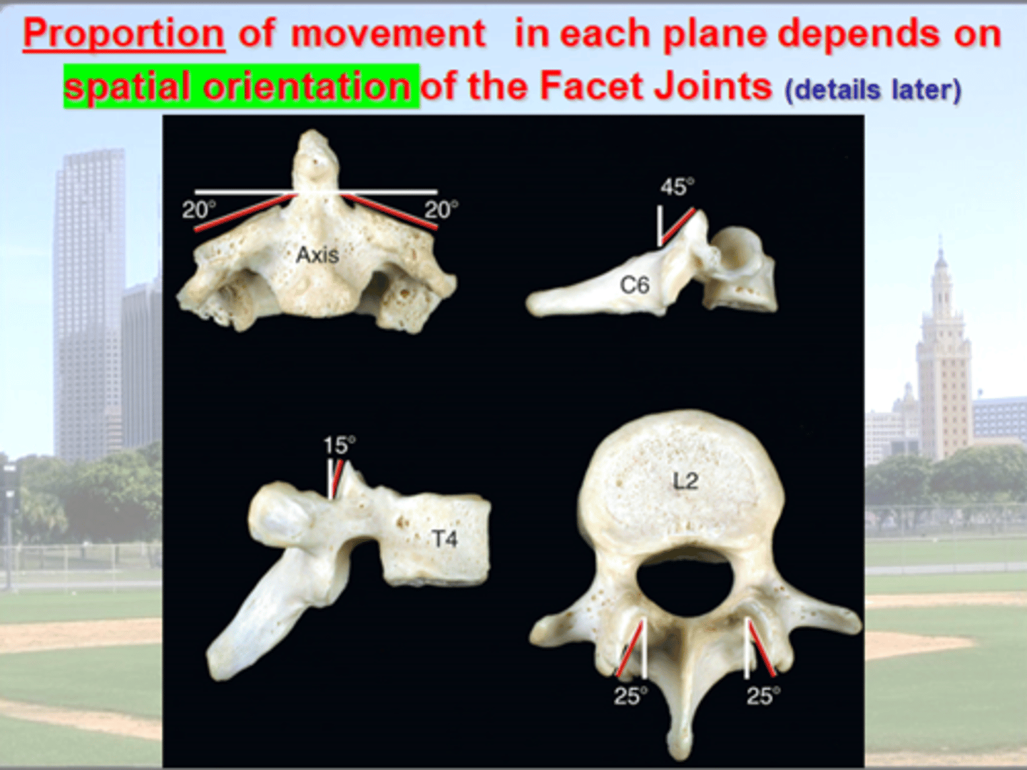<p>Amount of movement = Intervertebral Jt.</p><p>vs. </p><p>Direction of movement in each plane = Facet Jts</p>