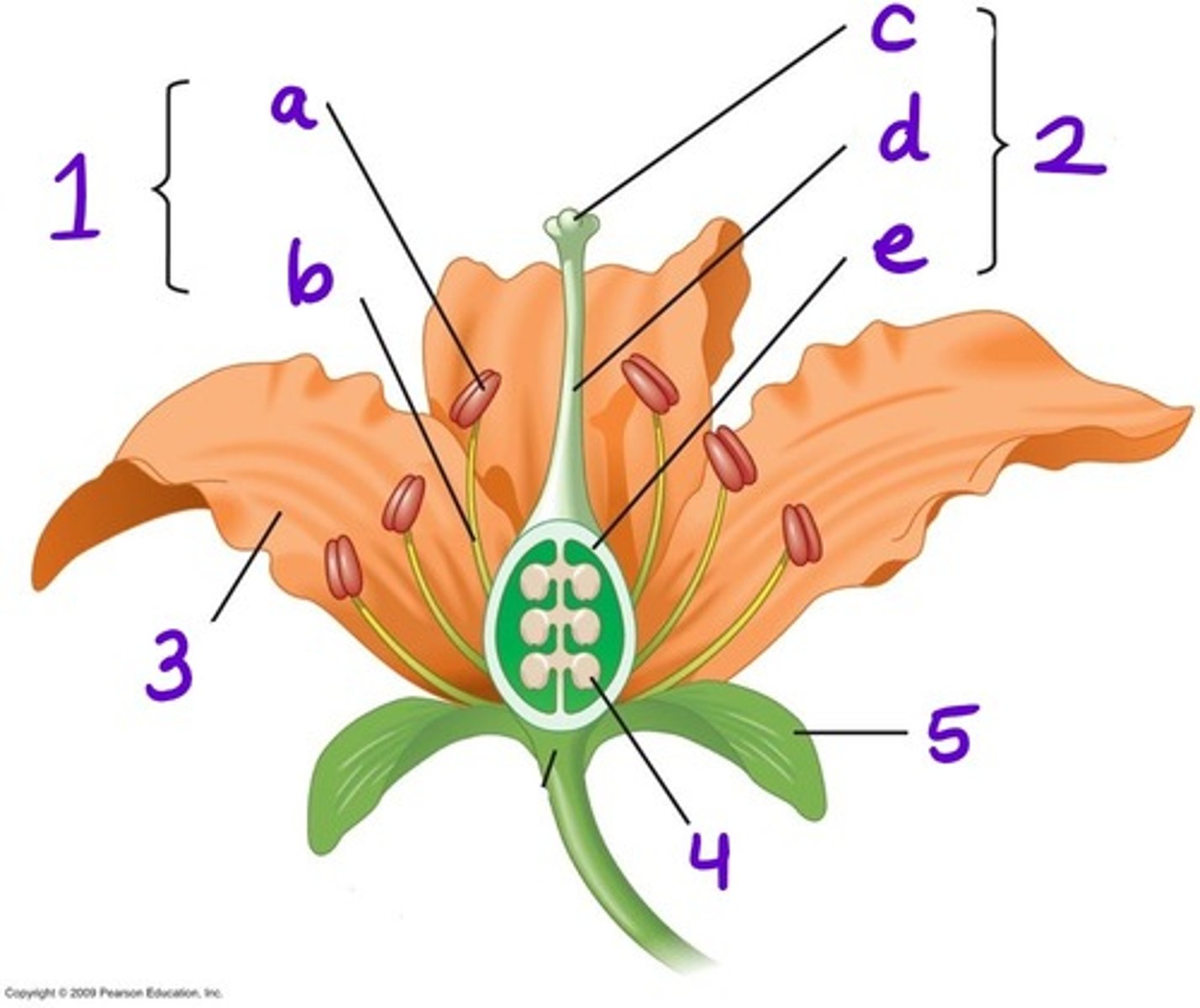 <p>#4</p>