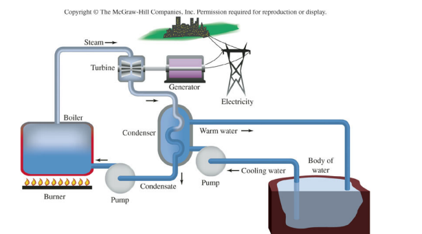 <p>In the following diagram of a power plant, the kinetic energy in the steam is directly converted to</p><ul><li><p><strong>a.</strong> electrical energy in the generator.</p></li><li><p><strong>b.</strong> mechanical energy in the turbine.</p></li><li><p><strong>c.</strong> potential energy in the turbine.</p></li><li><p><strong>d. </strong>kinetic energy in the water.</p></li></ul>