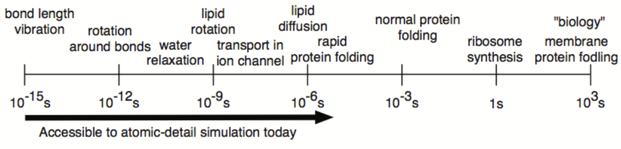 <ul><li><p>bridge theory and experiment:</p><ul><li><p>practical model when experiments are too expensive or difficult</p></li><li><p>But simulations are hard to prove to be correct</p></li></ul></li><li><p>Capture atomic motions or interactions that cannot be observed in the lab</p></li><li><p>Fills the gap where other measurements fall short like NMR or FRET</p></li><li><p>examples</p><ul><li><p>local/global conformations</p></li><li><p>enzyme substrate binding</p></li><li><p>free energy determination</p></li><li><p>protein folding</p></li></ul></li></ul><p></p><p>today MD simulations typically range from a 100’s of ns to a few µs</p><p>(normal protien folding is however in the range of ms)</p><p></p>