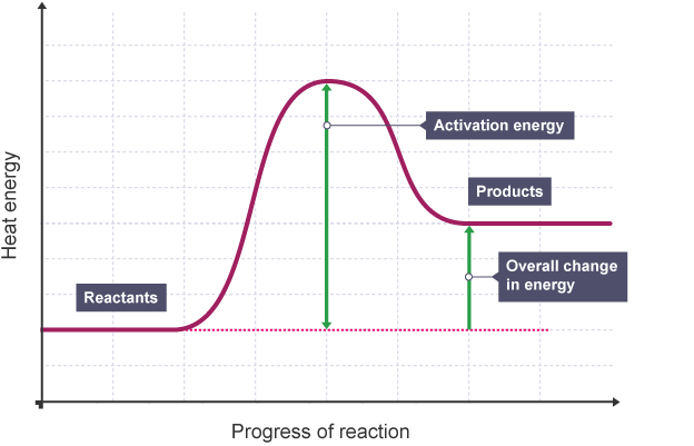<p>What reaction profile is this?</p>