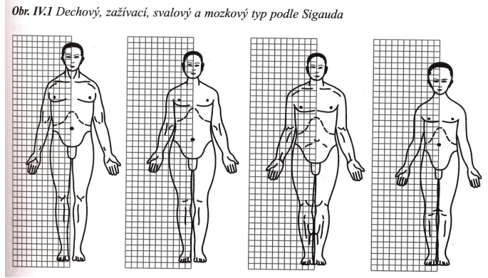 <p>Sigaud vymezil 4 typy: dechový (respiratoire), zažívací (digestif), svalově kloubní (musculaire) a mozkomíšní (cerebral).</p>