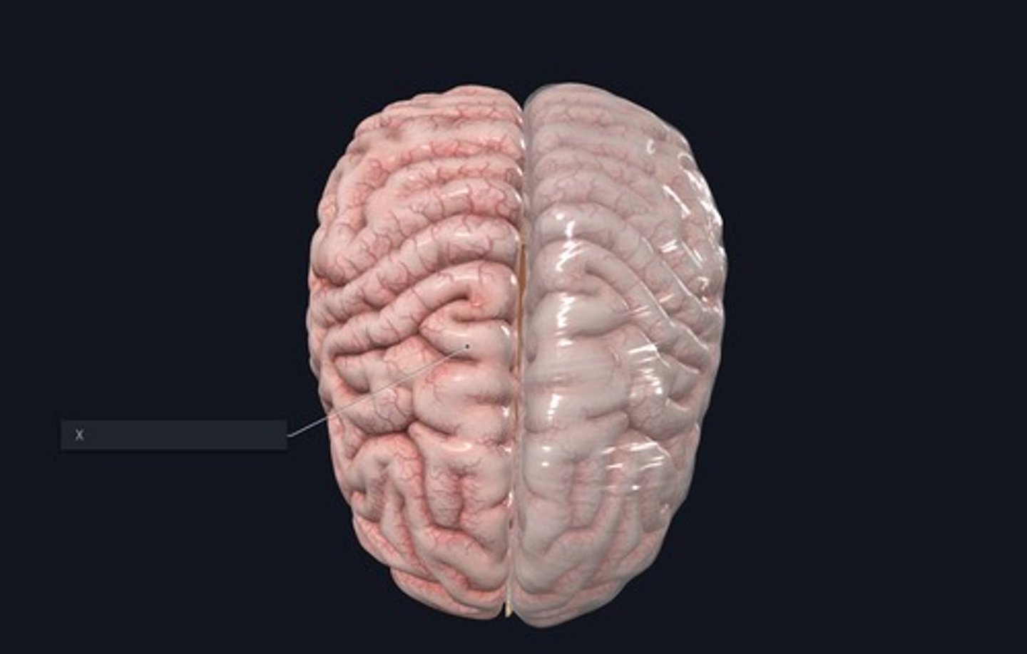 <p>Name this layer of Mininge.</p>