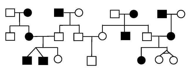 Shaded individuals in this pedigree have an X-linked genetic disorder that causes green toenails. Individuals who are not shaded have the normal clear toenails. Please answer the following questions regarding this pedigree. Assume that a capital "G" represents the dominant allele and that a lower case "g" represents the recessive allele.

Which allele is dominant?