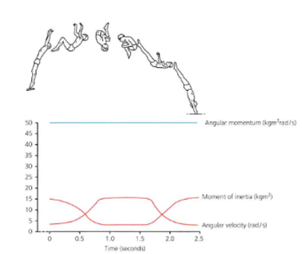 <p><strong>graph : diver diving from take off to landing → take off </strong></p>