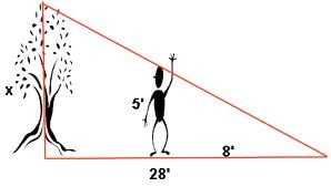 Are these triangles similar? How?
