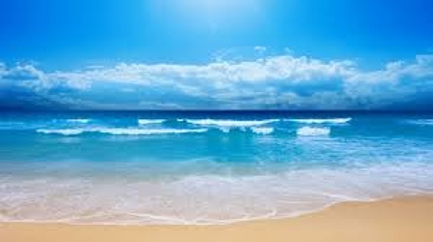 <p>sea</p>