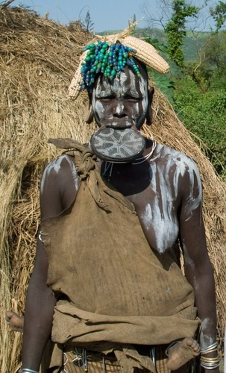 <p>belief that physical environment caused social development</p>