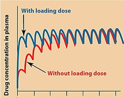 <p><span><span>For emergencies, a higher “loading” dose is administered first, followed by “maintenance” doses, to reach the steady state faster.</span></span></p>