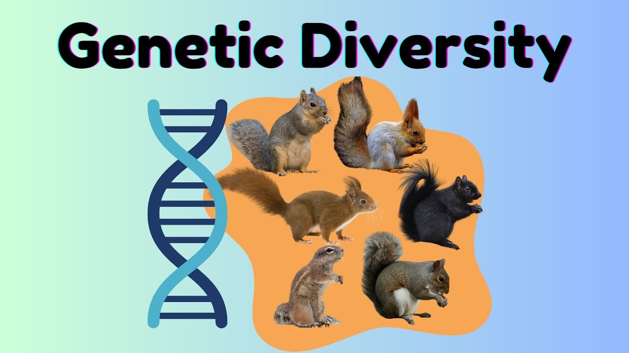 <p><strong>Genetic Diversity</strong></p>
