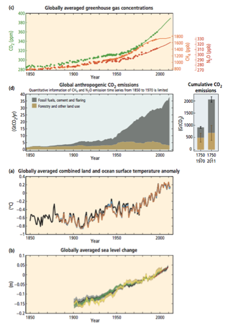 <ul><li><p><span><span>Atmospheric GHG concentration</span></span></p><ul><li><p class="MsoListParagraphCxSpMiddle"><span style="font-size: 7pt;"><span> </span></span><span><span>Increases in co2 and ch4</span></span></p></li><li><p class="MsoListParagraphCxSpMiddle"><span style="line-height: normal; font-size: 7pt;"><span> </span></span><span><span>Fossil fuels, cement production and flaring</span></span></p></li><li><p class="MsoListParagraphCxSpMiddle"><span style="font-family: "Times New Roman"; line-height: normal; font-size: 7pt;"><span>&nbsp; </span></span><span><span>Deforestation and land use change</span></span></p></li></ul></li><li><p class="MsoListParagraphCxSpMiddle"><span style="line-height: normal; font-size: 7pt;"><span> </span></span><span><span>Global average temperature</span></span></p></li><li><p class="MsoListParagraphCxSpMiddle"><span style="font-size: 7pt;"><span>&nbsp; </span></span><span><span>Ice sheets, glaciers, sea ice</span></span></p></li><li><p class="MsoListParagraphCxSpMiddle"><span style="font-family: "Times New Roman"; line-height: normal; font-size: 7pt;"><span>&nbsp; </span></span><span><span>Sea level rise</span></span></p></li><li><p class="MsoListParagraphCxSpMiddle"><span style="line-height: normal; font-size: 7pt;"><span> </span></span><span><span>Permafrost</span></span></p></li><li><p class="MsoListParagraphCxSpLast"><span style="line-height: normal; font-size: 7pt;"><span> </span></span><span><span>Climate driven habitat loss</span></span></p></li></ul><p></p>