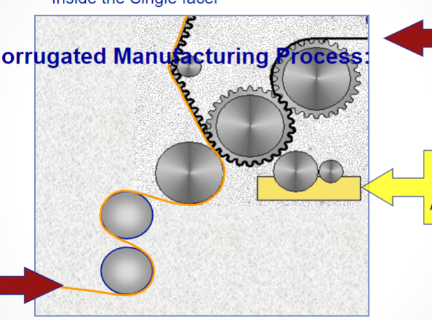 <p>This is the inside the single facer, what do the arrows point to? (Top to bottom)</p>