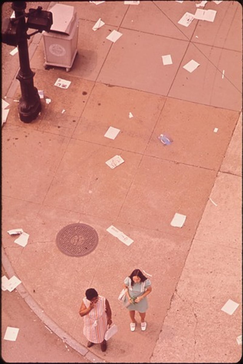 <p>What it means: To stop people from throwing trash on streets, parks, and public spaces.</p><p>Why it works: "Littering" specifically refers to trash thrown in the wrong places by citizens, rather than industrial waste.</p><p>Application: "Implementing heavy fines is necessary to address widespread littering in public parks."</p>