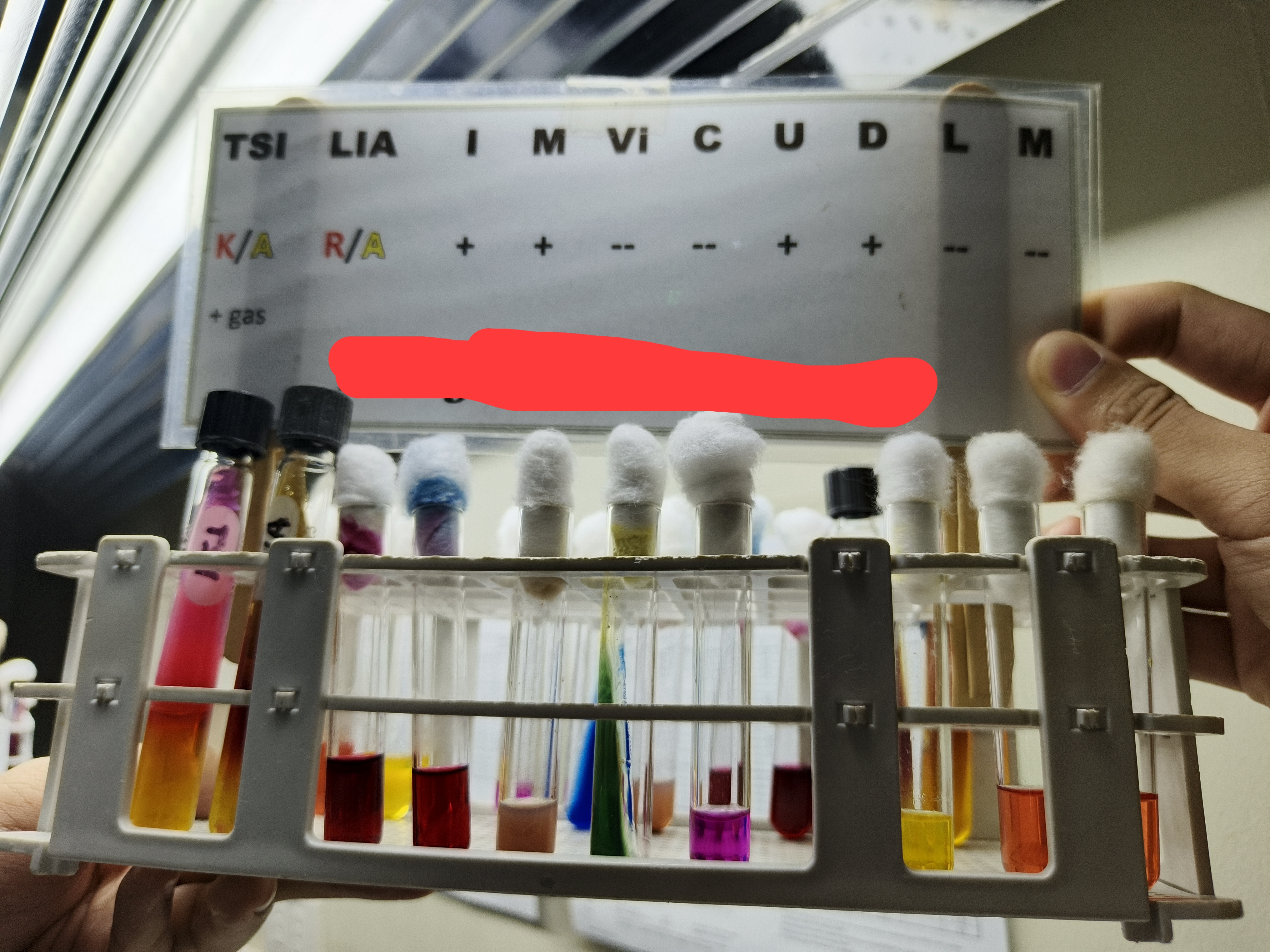 <p>Identify </p>