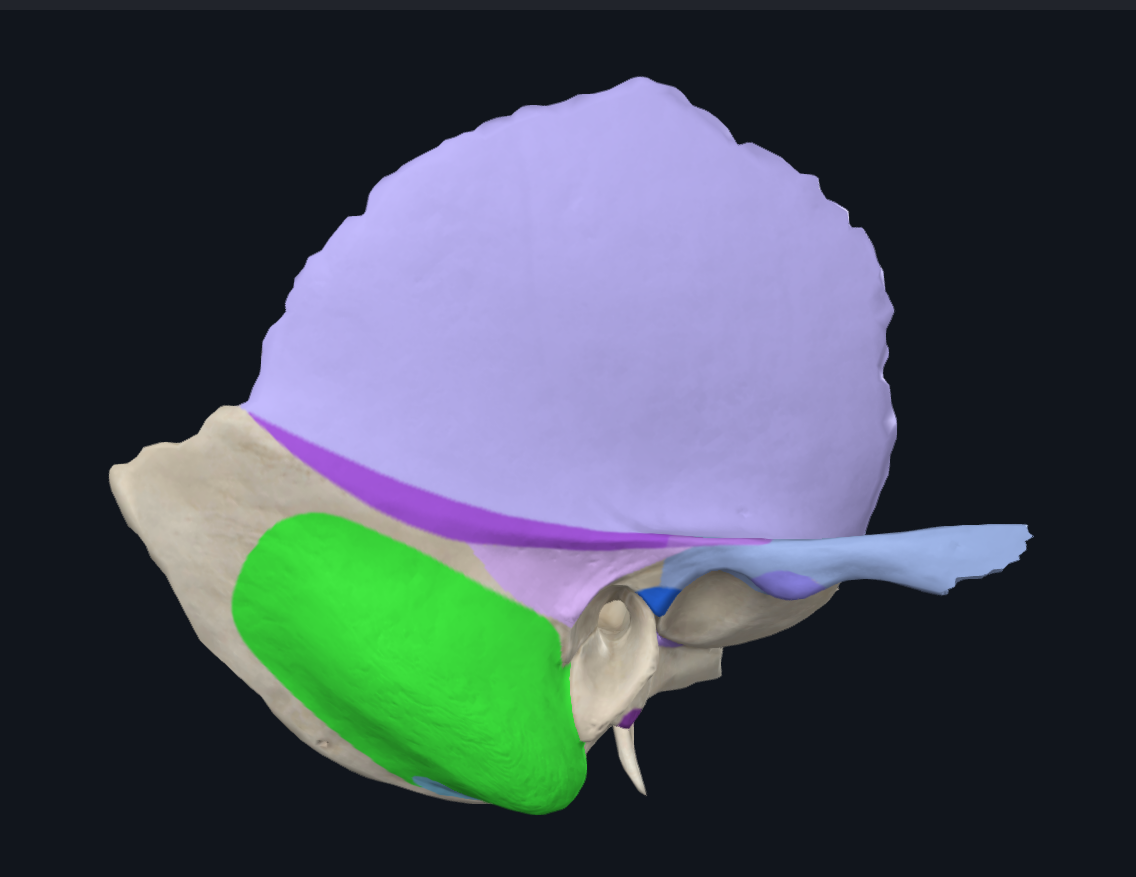 <p>What is highlighted in green</p>