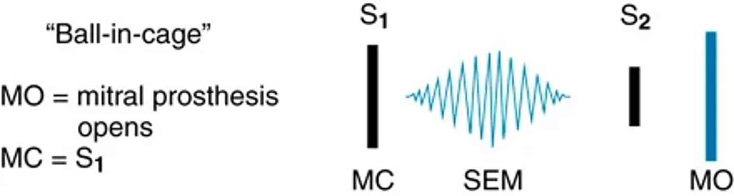 <p>Opening of Av valve usually silent, but with stenosis -> increasingly higher atrial pressure is required to open the valve. The deformed valve opens with a noise: the opening snap.</p><p>(sharp and high pitched with snapping quality)</p><p>It sounds after S2 and is best heard with the diaphragm at the 3rd or 4th left interspace at the sternal border, less well at the apex.</p><p>The opening snap usually is not an isolated sound. As a sign of mitral stenosis, the opening snap usually ushers in the low-pitched diastolic rumbling murmur of that condition.</p>