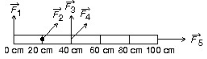 <p>Five forces act on a meter stick as shown in the figure below. Which of these forces cause zero torque? (there could be more than one correct choice.)</p>