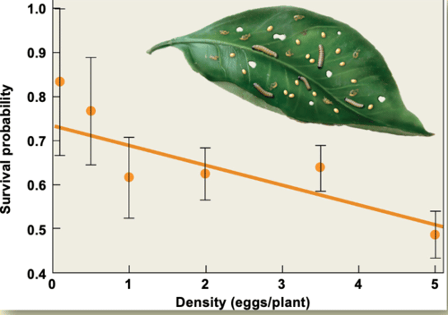 <p>function of intraspecific competition</p>