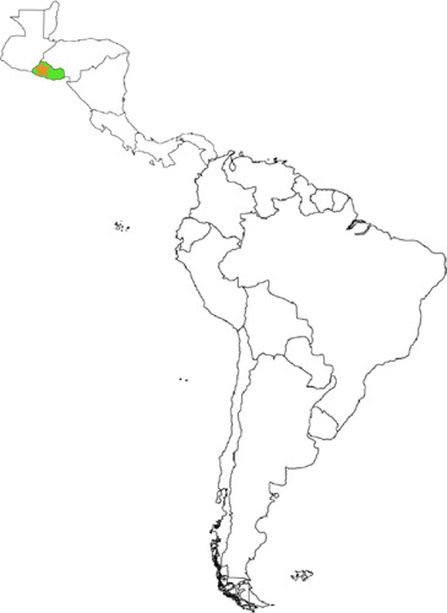<p>El Salvador</p>