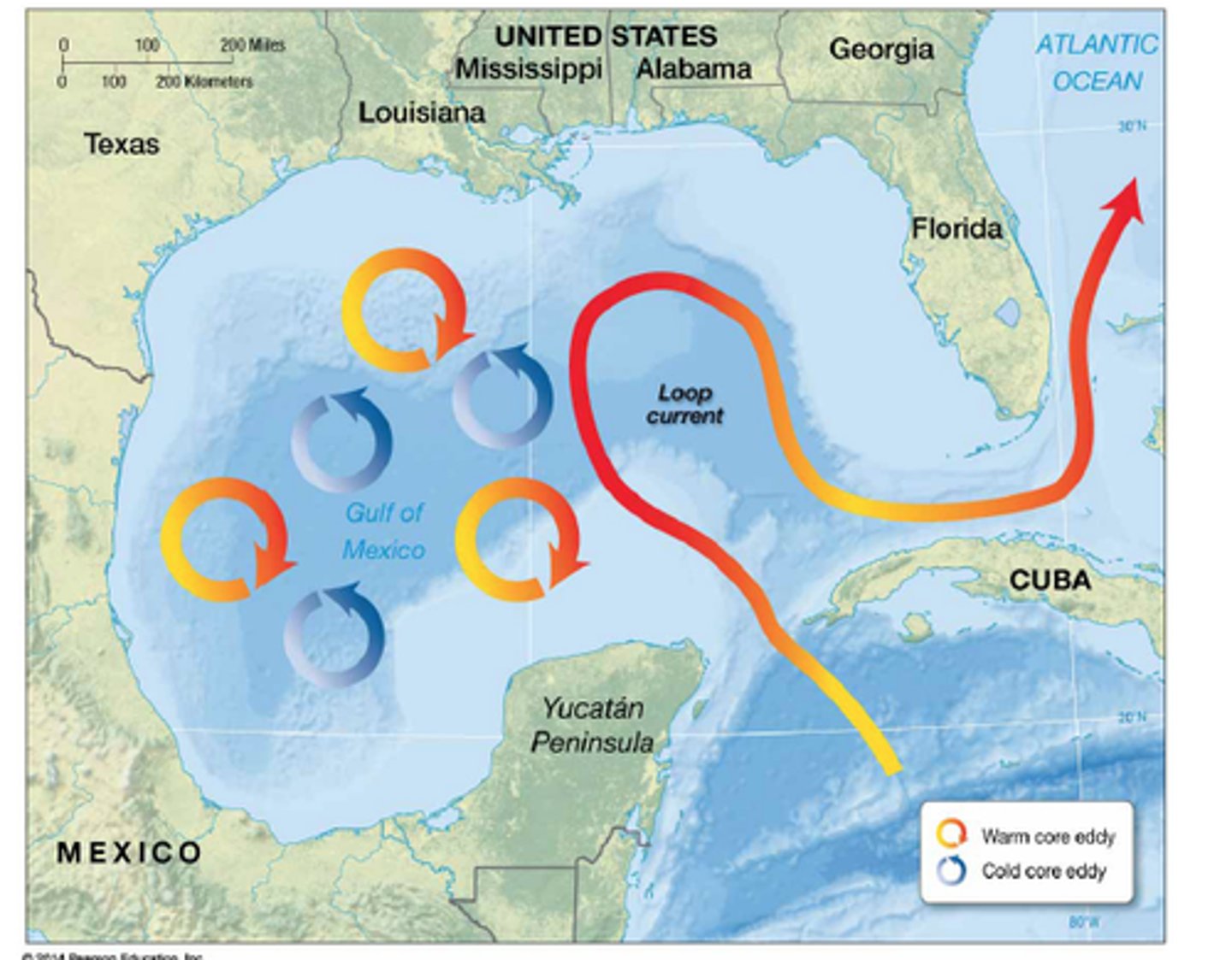 <p>2 of the most damaging hurricanes in history were intensified by the Loop Current in the Gulf of Mexico<br>- Hurricane Opal (1995) = category 4<br>- Hurricane Katrina (2005) = category 5<br><br>= an ocean current that protrudes through the Yucatan Channel into the belly of the gulf before exiting through the straits of Florida<br>... an eddy current (from the Loop Current) powered Hurricane Katrina up from a tropical cyclone as it passed through the Straits of Florida into a category 5 hurricane that ultimately flooded much of New Orleans and caused $125bn in damage<br><br>- for the 7th year in a row NOAA has forecast an above average hurricane season (2022)<br>... 2024 = "explosive atlantic hurricane season" with 20-25 named storms <br>... in 2022 the Loop Current pushed much farther north than usual<br><br>· Meteorologists fear that if one of these tropical storms was to pass over the deep warm waters of the Loop Current, they could strengthen into extremely powerful hurricanes and do so almost overnight</p>