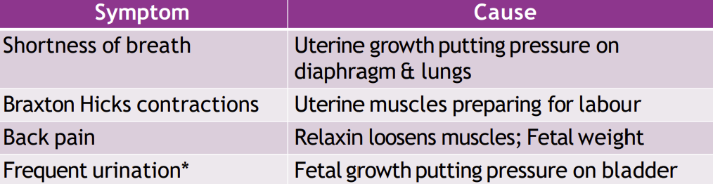 <p>___________________ - *<strong>Urination from a diff. cause than the ____ trimester diff from hCG </strong></p>