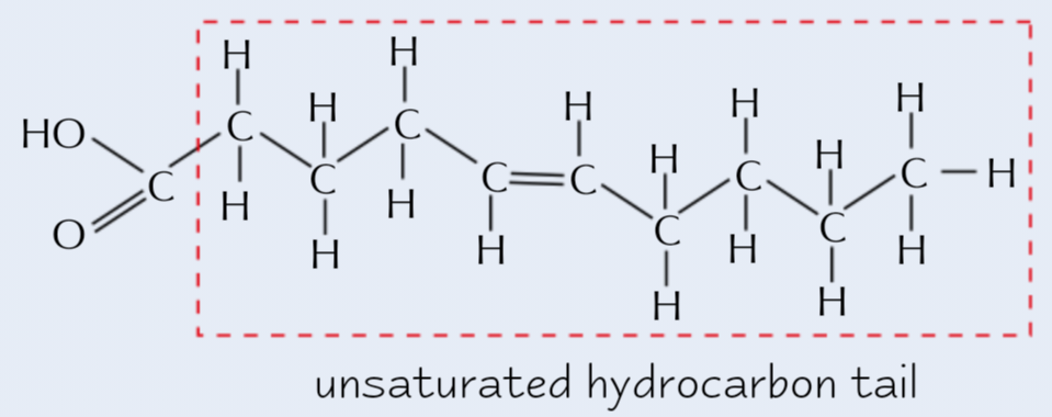 <p><strong>1+ double bond</strong> between <strong>C atoms</strong></p><p>→ causes <strong>kinks </strong>in chain</p>