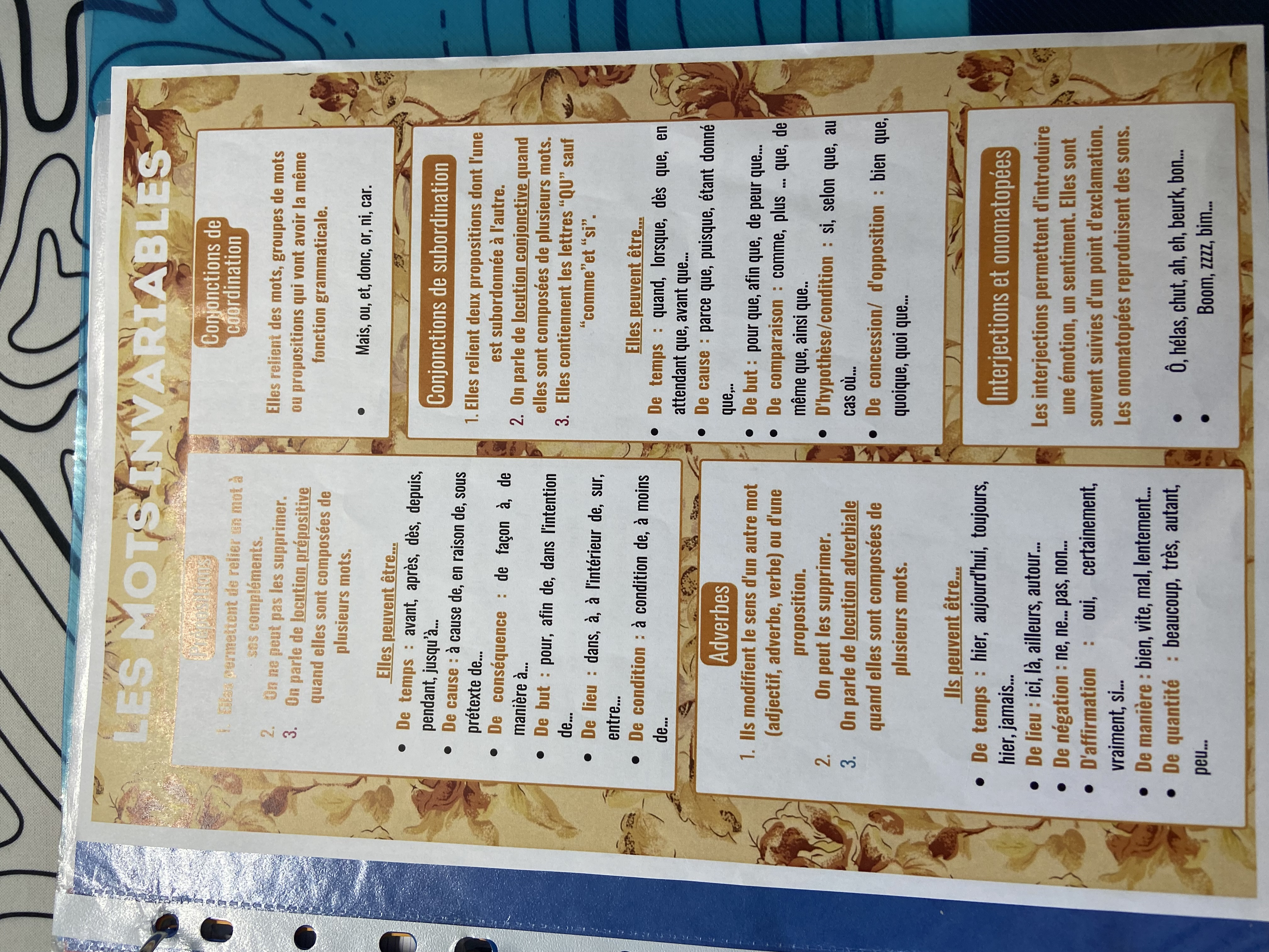 <p>Les nature grammaticale</p>