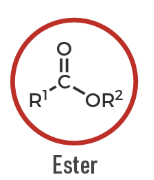 <p>A carbonyl compound with an OR' group: R–CO–OR'.</p>
