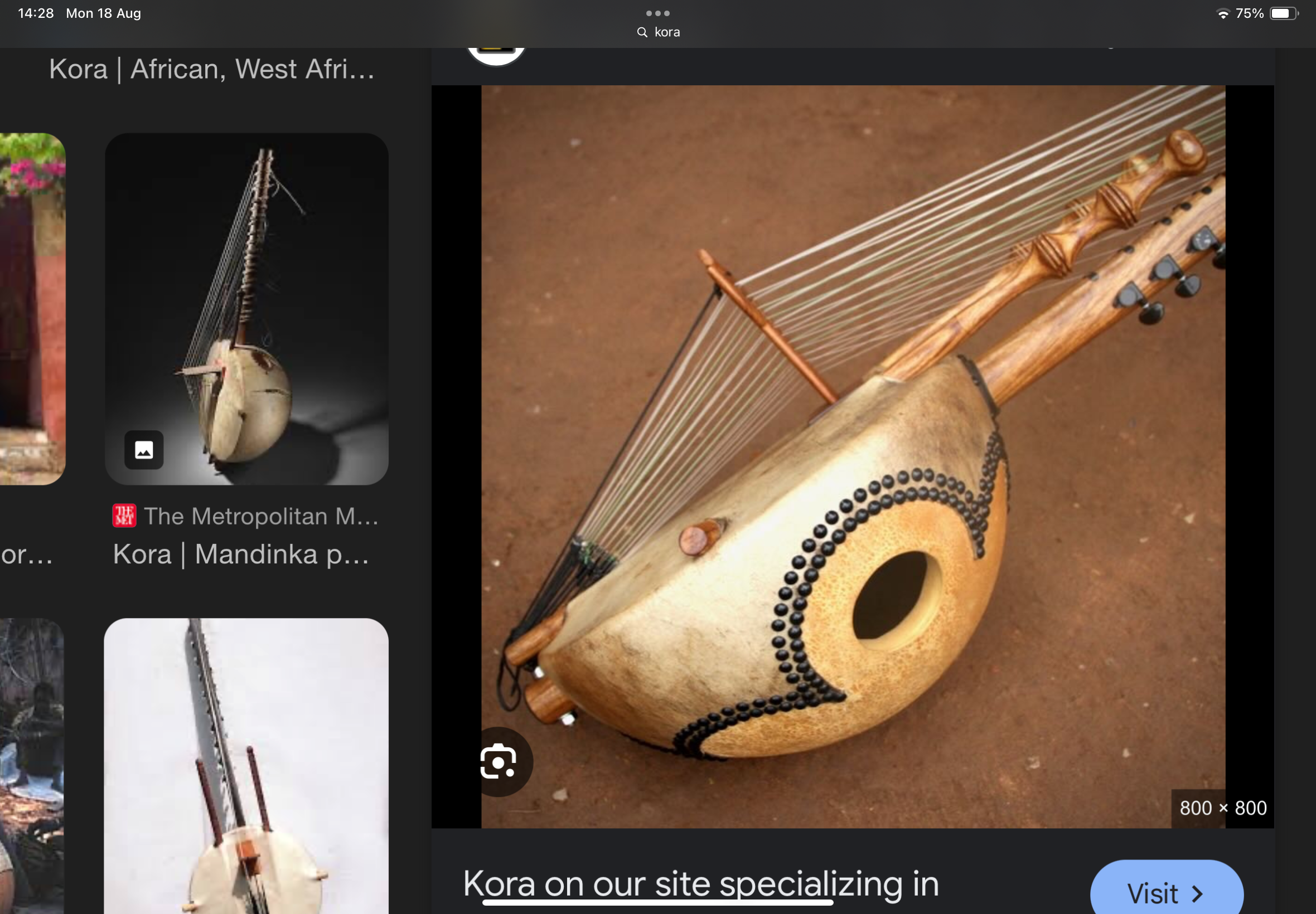 <p>guitar-like instruments which sounds like a harp</p>