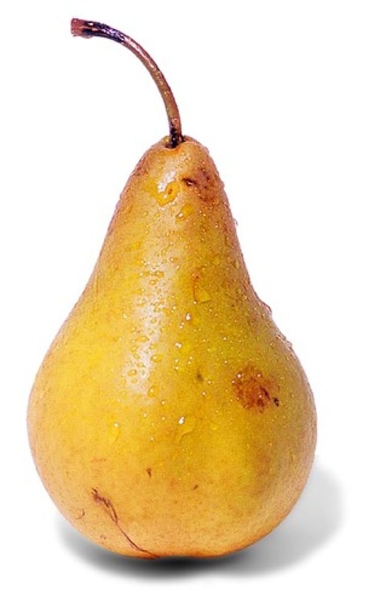 <p>pear</p>