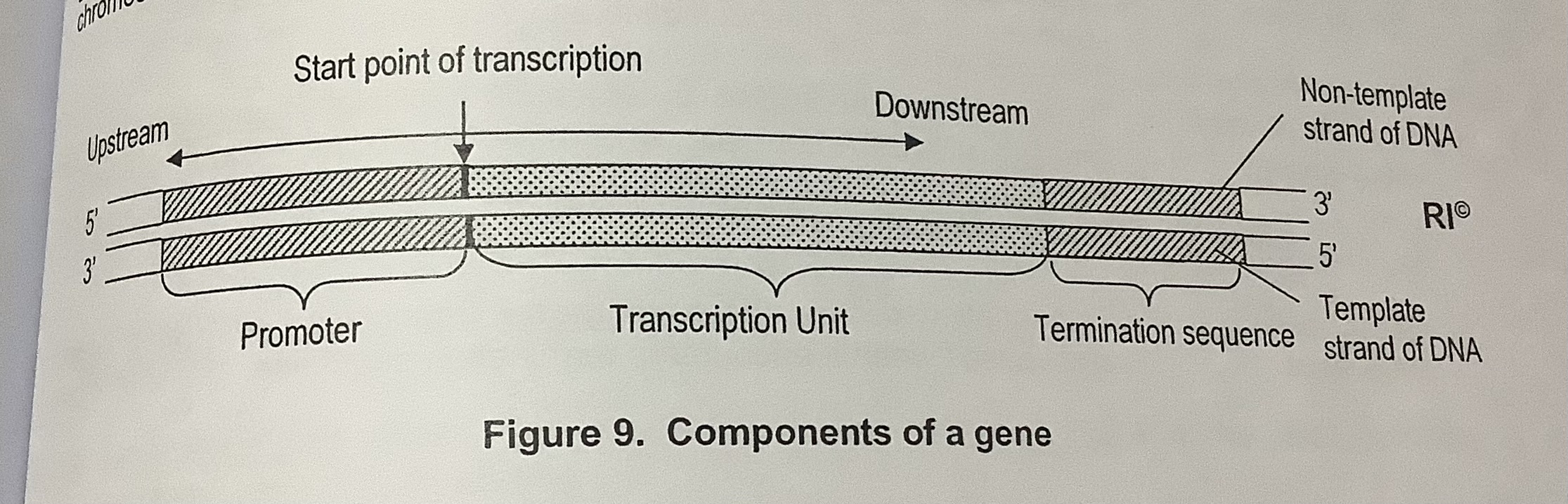 <p></p>