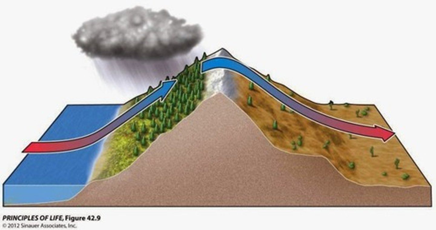 <p>The process by which rising air on one side of a mountain releases all of its moisture so that the opposite side receives only dry air. Can create a desert.</p>