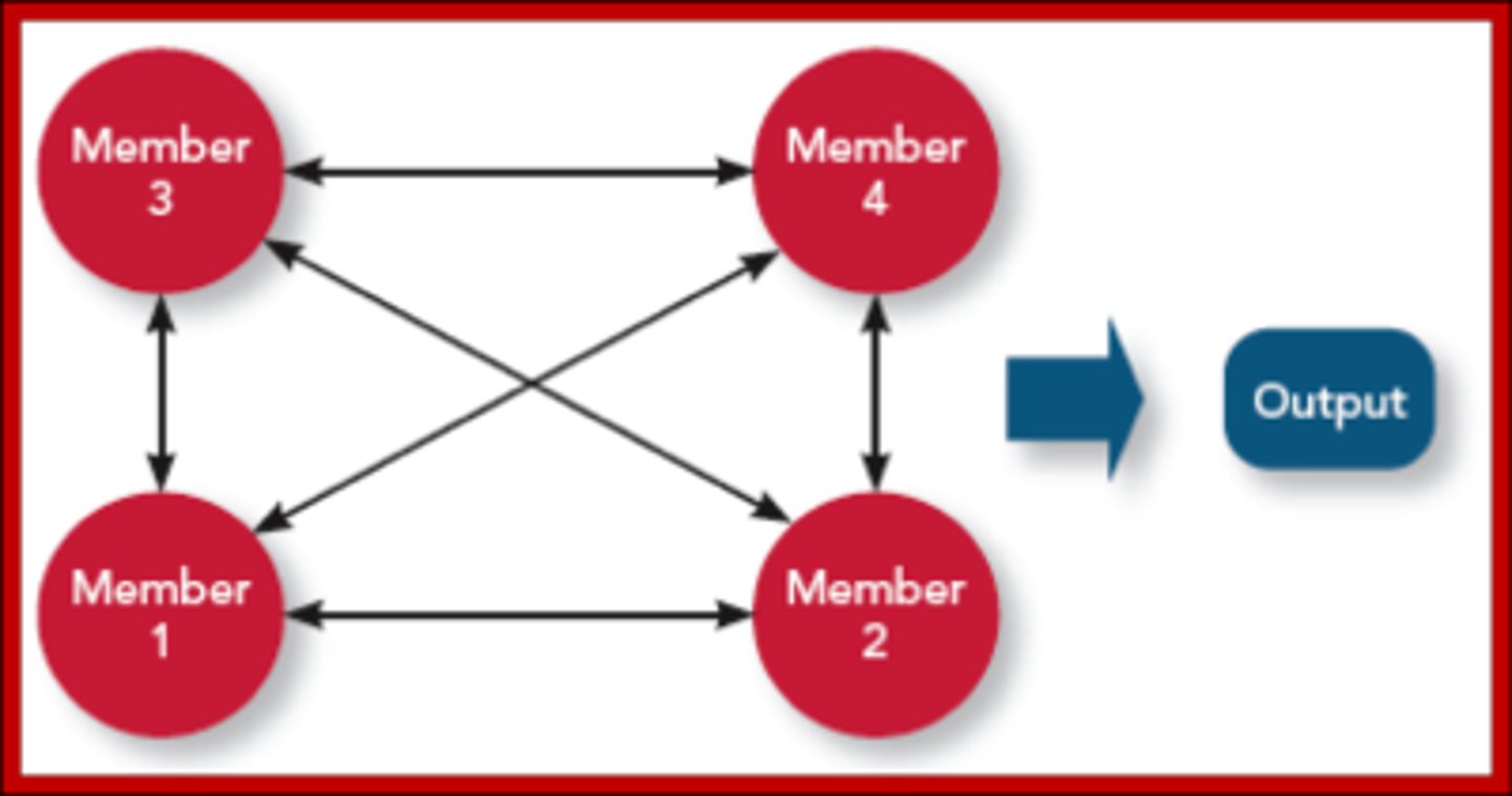 <p>Members interact to a high degree to coordinate and perform tasks</p>