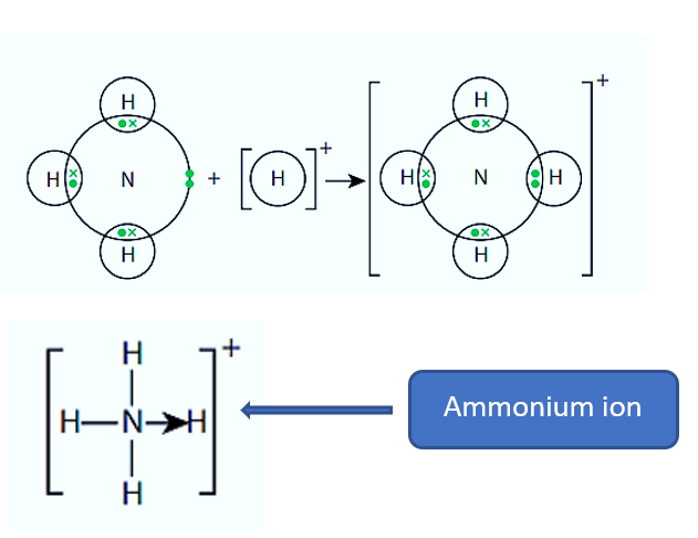 <p>Where an atom donates 2 electrons to an atom or ion to form a bond</p>