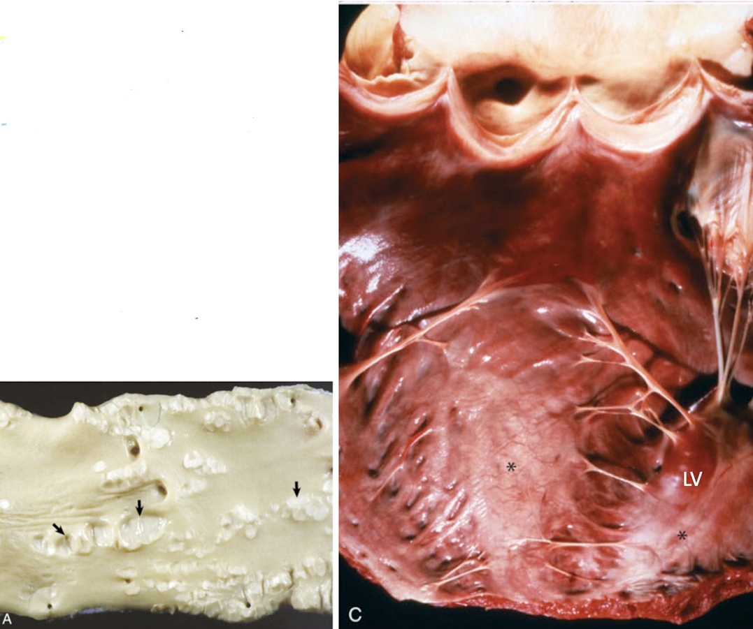 <p>What is this showing?</p>